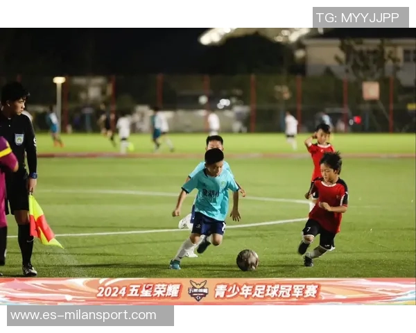 足球赛场上的激情与荣耀：一场关于梦想与团结的较量